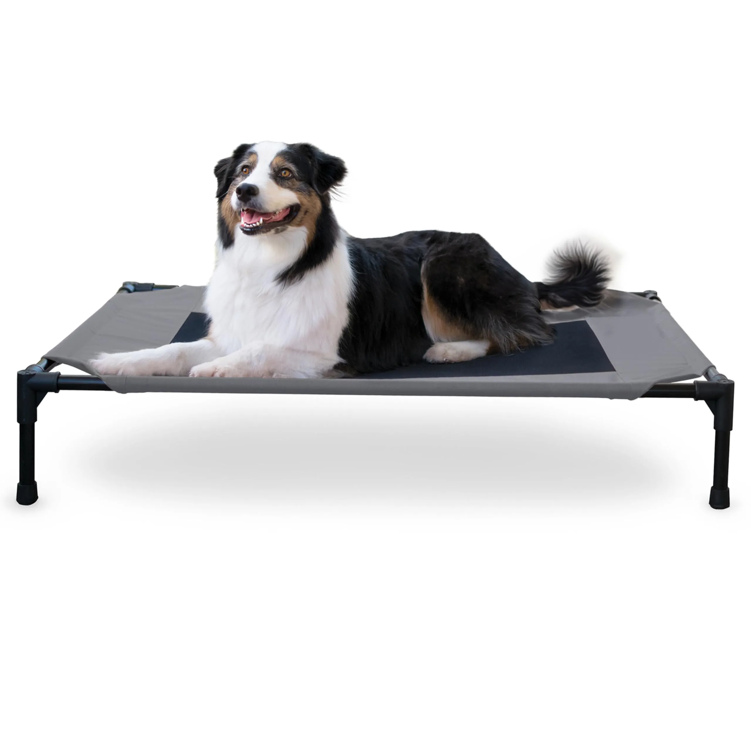 Coolaroo elevated pet bed