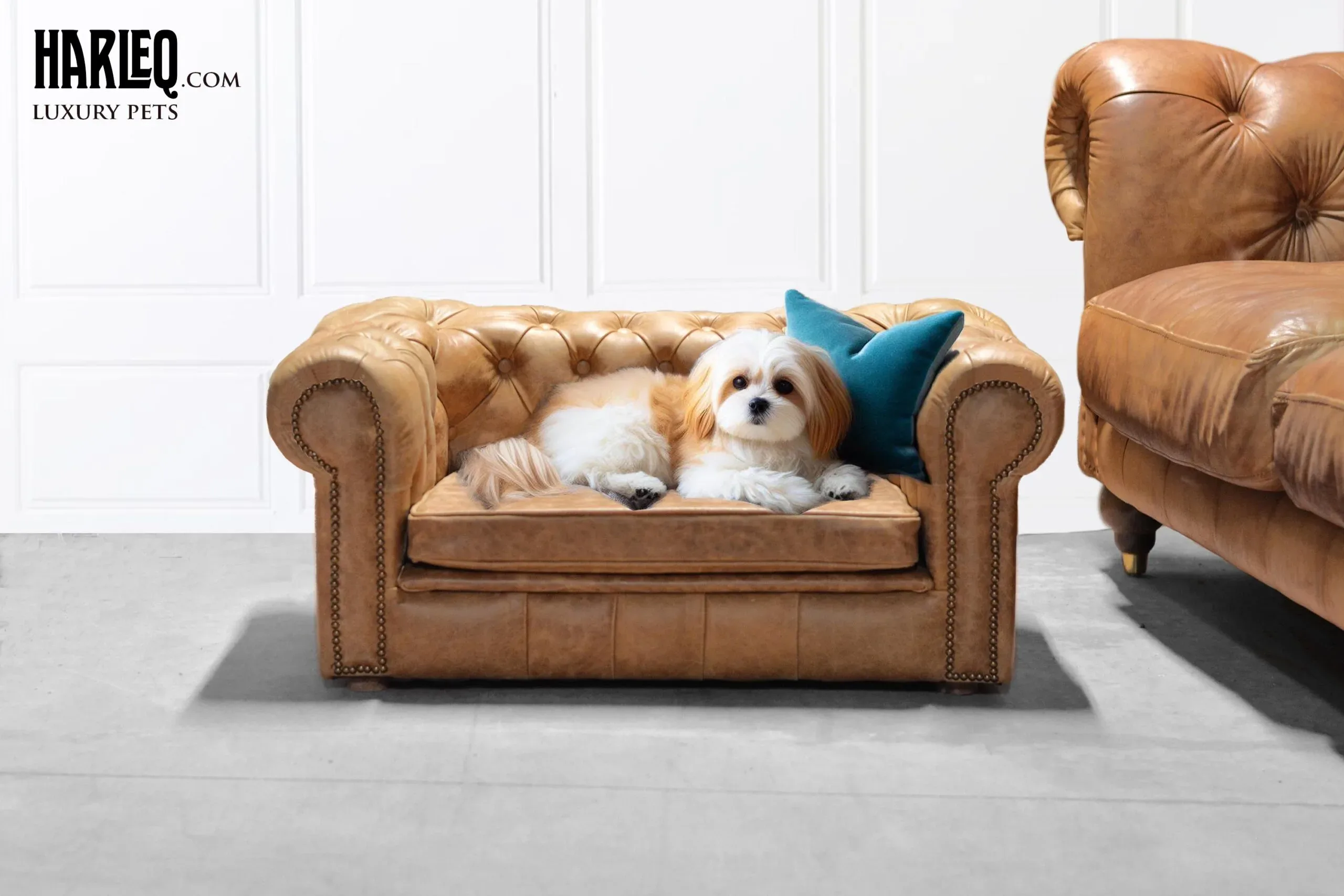 Maxbone modern dog sofa bed