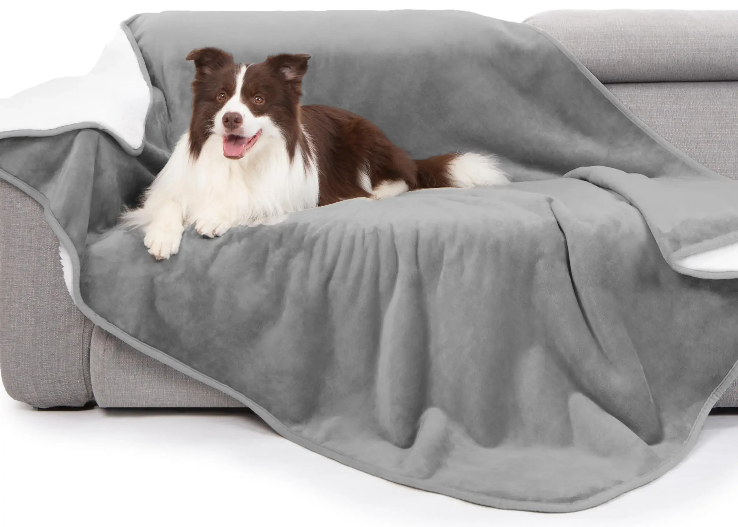 Ollieroo waterproof dog blanket