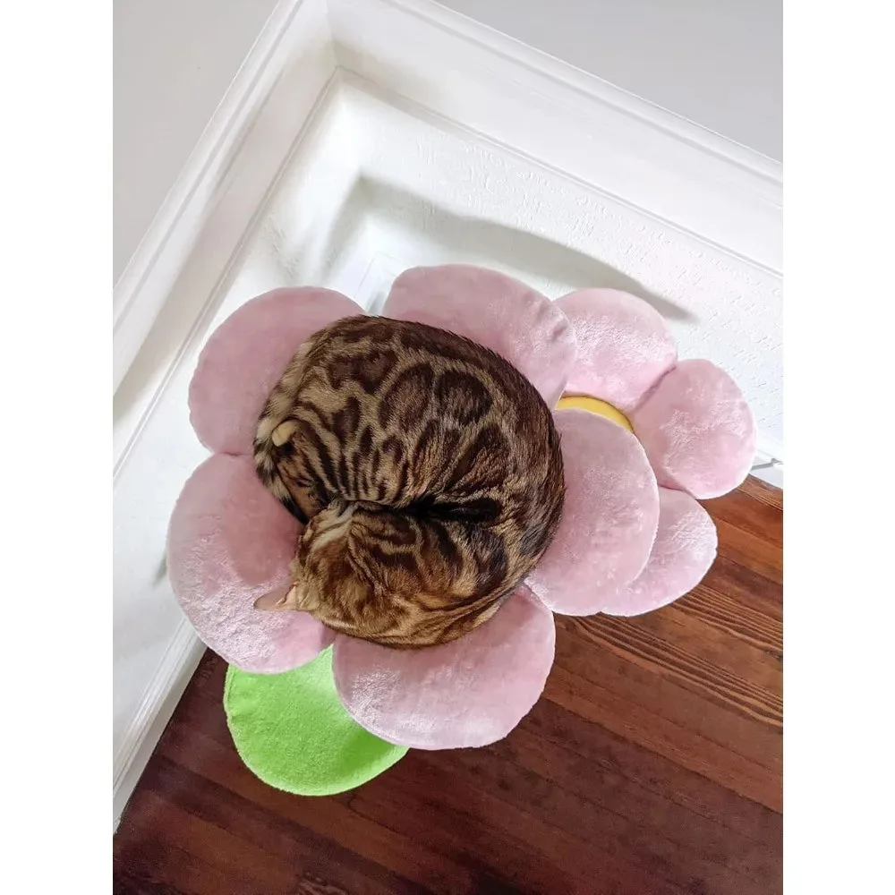 Paws & Claws luxury cat bed