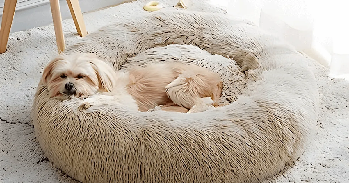 Western Home calming dog bed