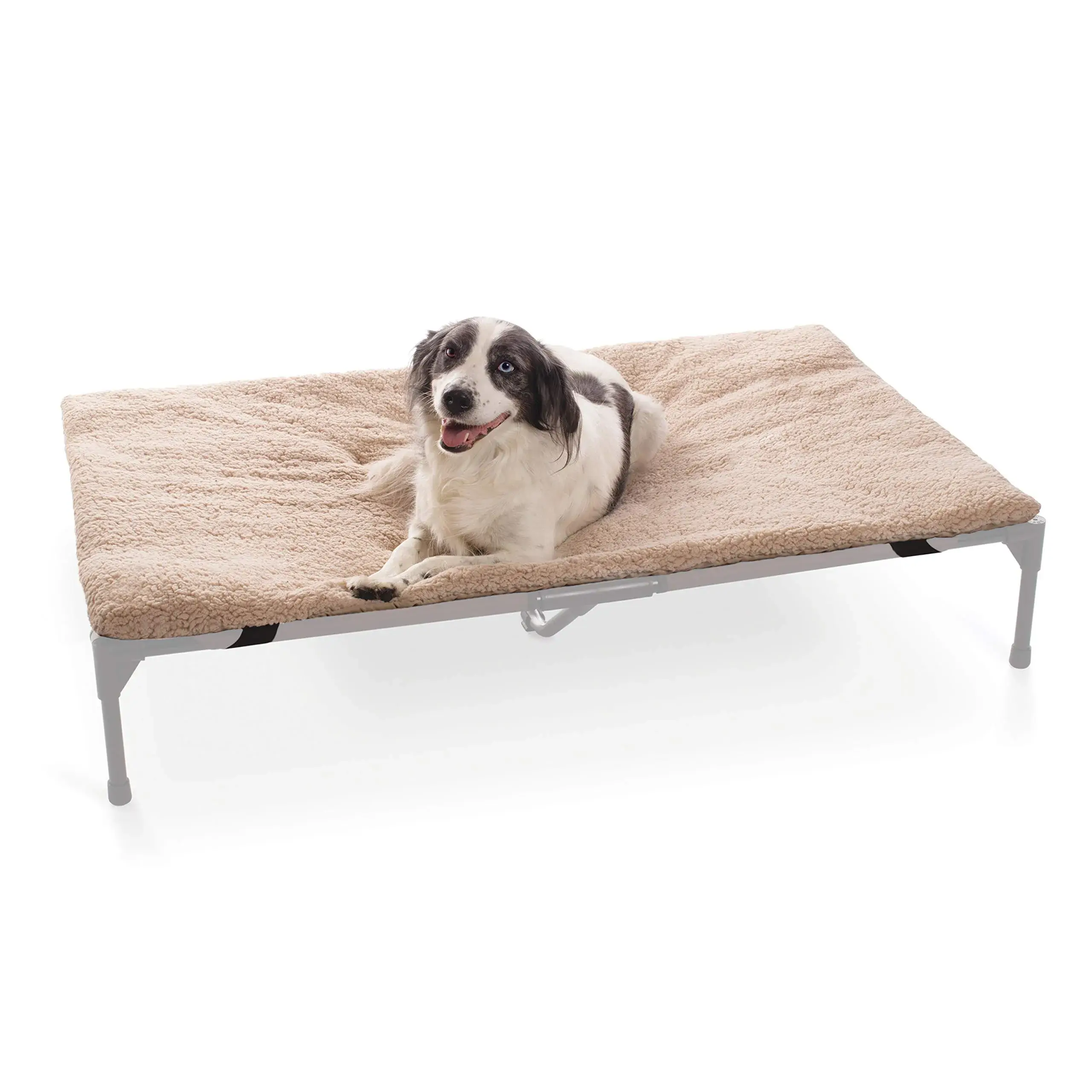Zinus dog cot elevated bed